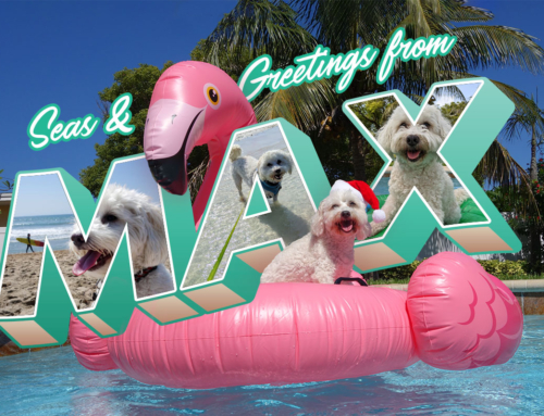 Seas & Greetings From Max